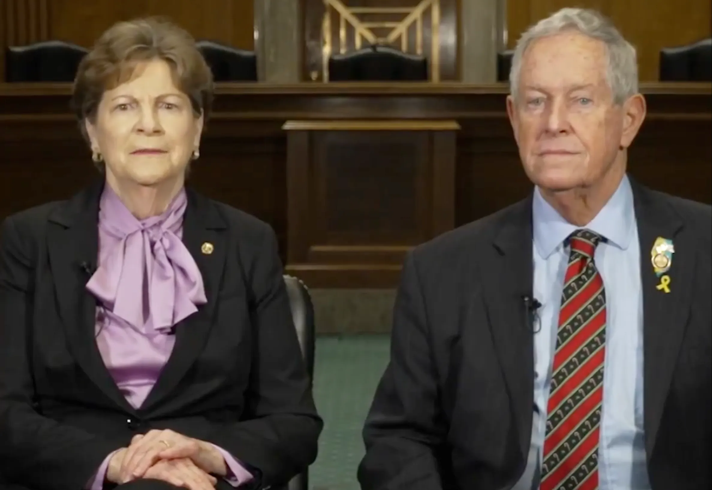 شاهين وويلسون يؤكدان دعم الولايات المتحدة لمسار جديد بعد إلغاء قانون قيصر”