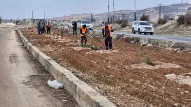 حملات التشجير في سوريا... غرسٌ للحياة بعد سنين الحرب