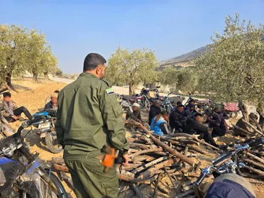 منطقة عفرين تطلق حملة لمكافحة القطع الجائر للأشجار وتجارة الحطب غير القانونية