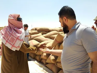 موسم القمح في سوريا: استلام متواصل وتفاؤل واسع بين الفلاحين