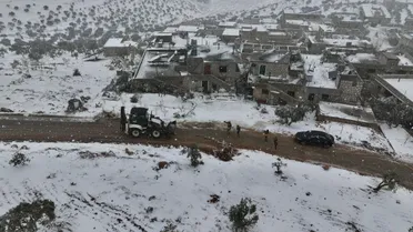 وزارة الزراعة تحذّر من موجة صقيع قوية وتدعو المزارعين لاتخاذ الاحتياطات