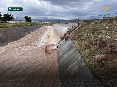 أمطار غزيرة تنعش الأنهار والينابيع وتحسّن الواقع البيئي في سوريا