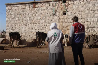 مشروع دعم سلسلة القيمة للثروة الحيوانية لدعم المربين وخلق فرص عمل في الشمال السوري