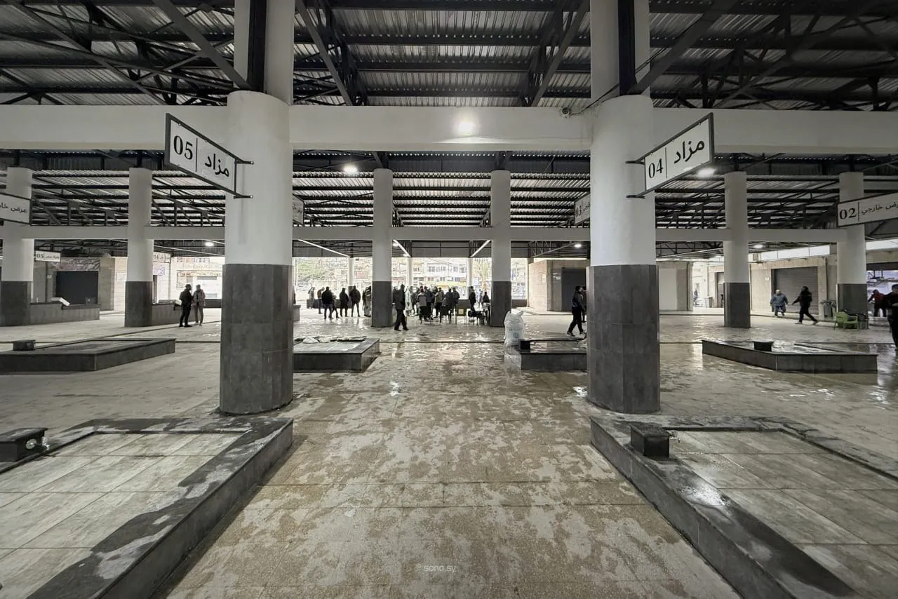 يوفّر أكثر من 2500 فرصة عمل… افتتاح سوق السمك في اللاذقية بعد إعادة تأهيله