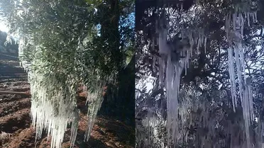 وزارة الطوارئ تحذر من موجة صقيع وتصدر إرشادات للمواطنين