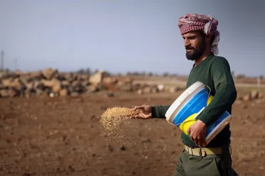 بعد الهطولات المطرية الأخيرة.. تحسن زراعي ومائي في درعا 