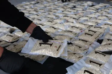 عملية أمنية تحبط تهريب 300 ألف حبة كبتاغون وتُسفر عن توقيف مطلوبين دوليًا في حمص