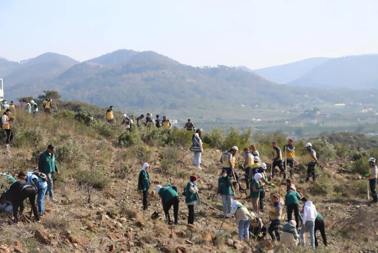حملة تشجير في اللاذقية لزراعة 14 ألف غرسة: "بأيدينا نحييها" لإحياء الغطاء النباتي ودعم البيئة
