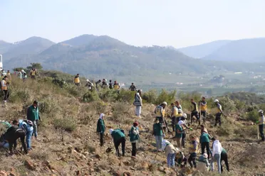 حملة تشجير في اللاذقية لزراعة 14 ألف غرسة: "بأيدينا نحييها" لإحياء الغطاء النباتي ودعم البيئة