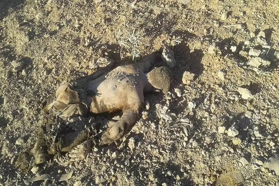 الطيران الروسي يواصل حرق درعا ... مجزرة في "الطيبة" وجثث الشهداء تتحول لأشلاء